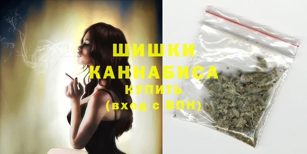 шишки Магадан