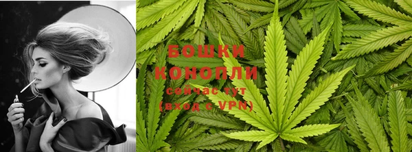 шишки Магадан